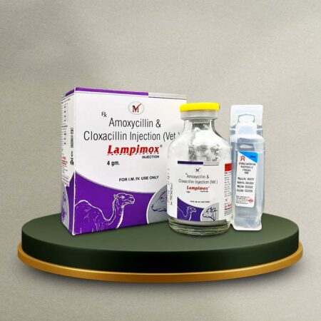Amoxycillin & Cloxacillin 4gm Dry Injection