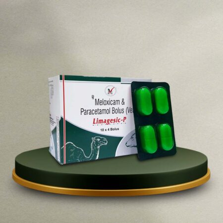 Meloxicam 100 mg, Paracetamol 1500 mg