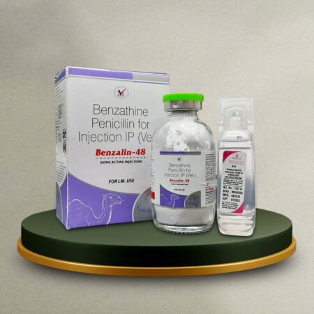 Benzathine Penicillin Dry Injection