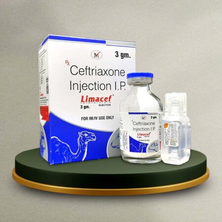 Ceftriaxone 3 gm Dry Injection