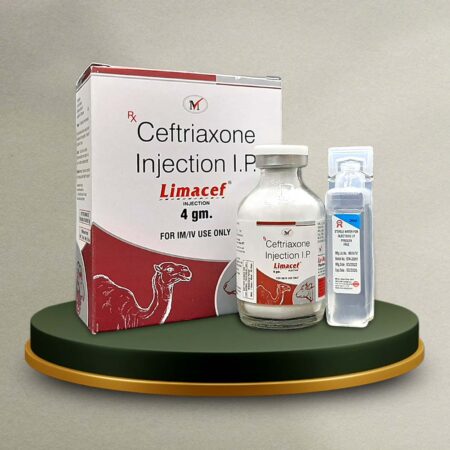Ceftriaxone 4 gm Dry Injection