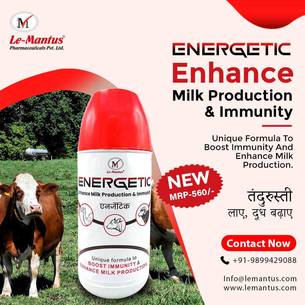 Energetic - Enhance Milk production and Immunity effectively